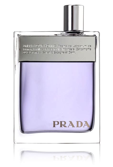 prada amber pour homme ici paris|prada amber pour homme fragrantica.